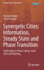 Synergetic Cities: Information, Steady State and P