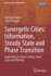 Synergetic Cities: Information, Steady State and P
