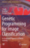 Genetic Programming for Image Classification: An Automated Approach to Feature Learning