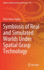 Symbiosis of Real and Simulated Worlds Under Spatial Grasp Technology: 354 (Studies in Systems, Decision and Control, 354) [Hardcover] [Mar 06, 2021] Sapaty, Peter Simon