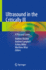 Ultrasound in the Critically Ill: a Practical Guide