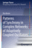 Patterns of Synchrony in Complex Networks of Adapt