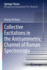 Collective Excitations in the Antisymmetric Channe