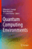 Quantum Computing Environments