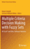 Multiple Criteria Decision Making with Fuzzy Sets: MS Excel� and Other Software Solutions