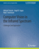 Computer Vision in the Infrared Spectrum: Challenges and Approaches