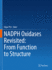 Nadph Oxidases Revisited: From Function to Structure