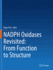 Nadph Oxidases Revisited: From Function to Structu