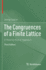 The Congruences of a Finite Lattice