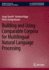 Building and Using Comparable Corpora for Multilin