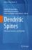 Dendritic Spines: Structure, Function, and Plasticity