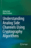 Understanding Analog Side Channels Using Cryptogra