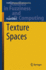 Texture Spaces: 411 (Studies in Fuzziness and Soft Computing, 411) [Hardcover] [Dec 05, 2023] Diker, Murat