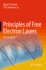 Principles of Free Electron Lasers [Hardcover] [Sep 20, 2023] Freund, Henry P. and Antonsen Jr., T.M.