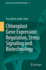 Chloroplast Gene Expression: Regulation, Stress Si