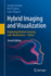 Hybrid Imaging and Visualization, Employing Machine Learning With Mathematica-Python