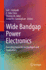 Wide Bandgap Power Electronics