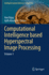 Computational Intelligence Based Hyperspectral Image Processing