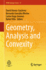 Geometry, Analysis and Convexity