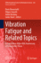 Vibration Fatigue and Related Topics: In Celebration of the 40th Anniversary of Turan Dirlik's Thesis