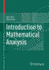 Introduction to Mathematical Analysis