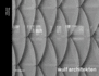 Structure and Type