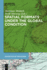 Spatial Formats Under the Global Condition