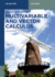 Multivariable and Vector Calculus (De Gruyter Textbook)