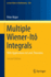 Multiple Wiener-It? ? Integrals