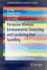 Pervasive Wireless Environments: Detecting and Localizing User Spoofing