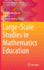 Large-Scale Studies in Mathematics Education
