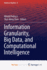 Information Granularity, Big Data, and Computation