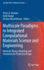 Multiscale Paradigms in Integrated Computational M