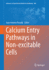 Calcium Entry Pathways in Non-Excitable Cells