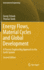 Energy Flows, Material Cycles and Global Developme