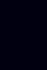Electromechanically Active Polymers