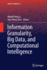 Information Granularity, Big Data, and Computation