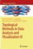 Topological Methods in Data Analysis and Visualiza