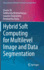 Hybrid Soft Computing for Multilevel Image and Data Segmentation