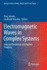 Electromagnetic Waves in Complex Systems