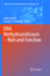 Dna Methyltransferases-Role and Function