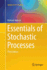 Essentials of Stochastic Processes (Springer Texts in Statistics)