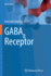 Gabab Receptor