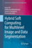 Hybrid Soft Computing for Multilevel Image and Dat