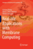 Real-Life Applications With Membrane Computing