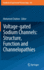 Voltage-Gated Sodium Channels: Structure, Function and Channelopathies: 246 (Handbook of Experimental Pharmacology, 246)