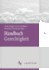 Handbuch Gerechtigkeit