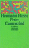 Peter Camenzind