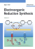 Electroorganic Reduction Synthesis /Set-1-2 Set
