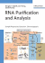 Rna Purification and Analysis: Sample Preparation, Extraction, Chromatography